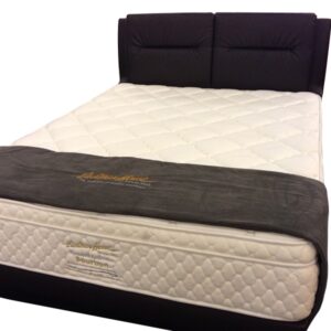 Daniel Divan Contemporary Bed Frame