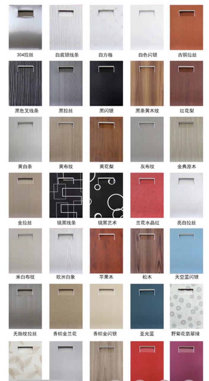 Stainless Steel Door Colour